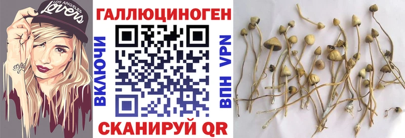 Галлюциногенные грибы мицелий  Сертолово 
