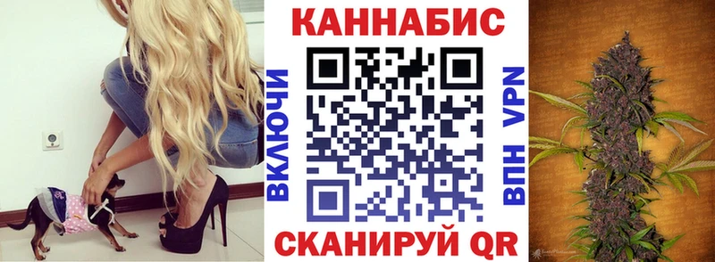 МАРИХУАНА план Сертолово